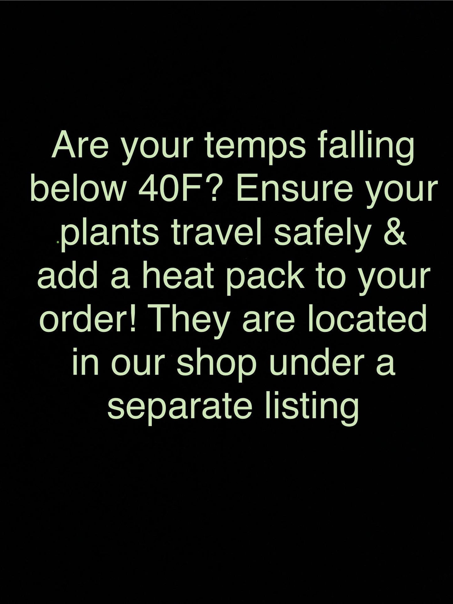 96 HR UniHeat Shipping Warmer – For Cold Climates Add-on Item - Cactology