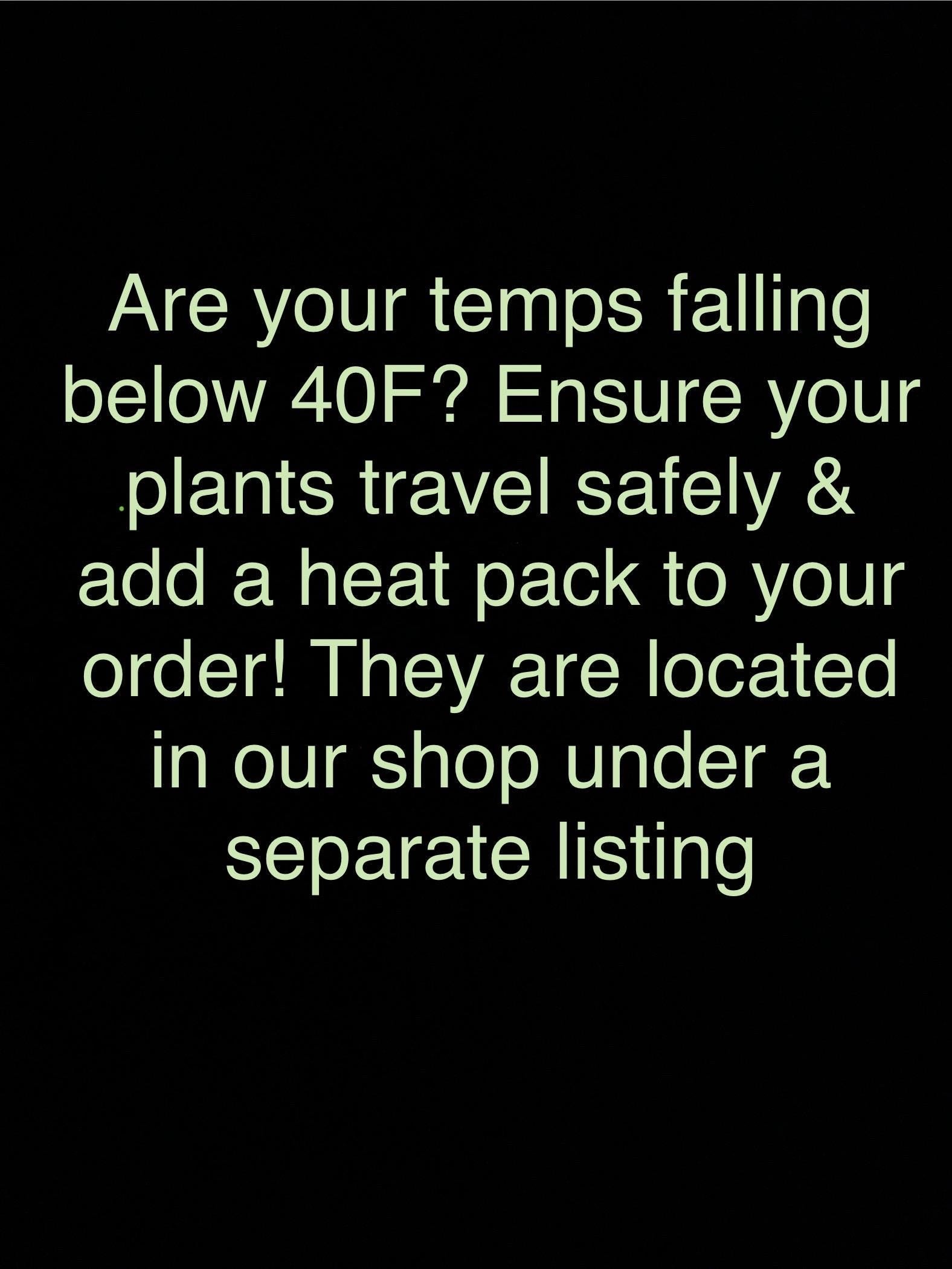 96 HR UniHeat Shipping Warmer – For Cold Climates Add-on Item - Cactology