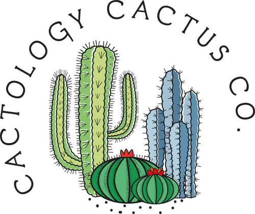 Cactology Cactus Co