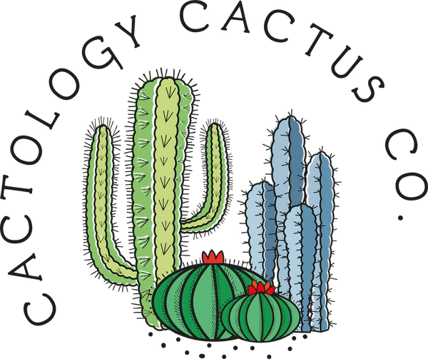 Cactology Cactus Co